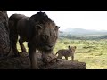 Simba's Journey and Secrets