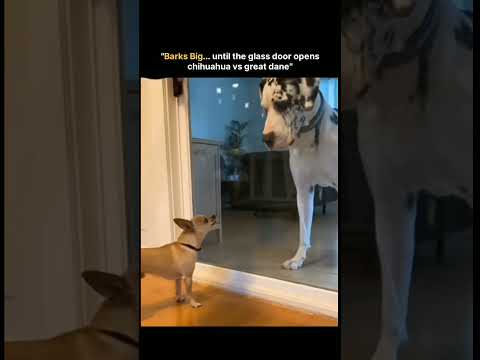 galat hua bhai ke sath ๐คง๐คง