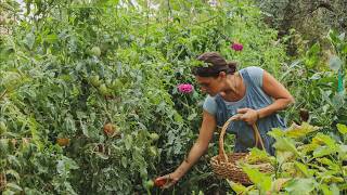Del Huerto al Plato: Cocino sólo con lo que cosecho - y preparo el terreno para el cultivo