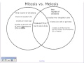 Genetic Variation and Meiosis Concepts