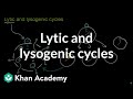 Viral Life Cycles and Host Interactions