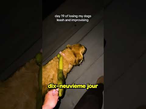 Une Laisse en... CONCOMBRES ?!🐶🥒