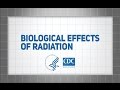 Radiation Effects and Responses