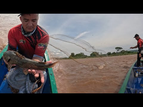 Amigos de la Pesca capitulo 9:  Así se vive un día de pesca con tarraya en el Rio Zulia.