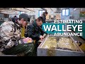 Fish Population Estimation Methods