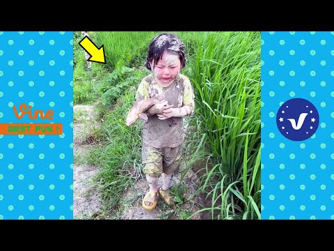 Best FUNNY Videos 2024 😂😁 1 Hours Funny Moments Of The Year Compilation P12