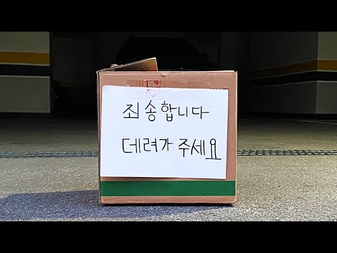 버려진 새끼 강아지를 주웠습니다