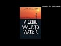 Understanding 'A Long Walk to Water'