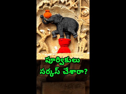 భారతీయులు ఏనుగులను ఎలా ఉపయోగించారు?🐘