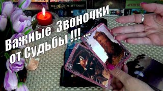 ОТ ВАС НИЧЕГО НЕ ЗАВИСИТ❗ЗВОНОЧКИ ОТ СУДЬБЫ❗ЧТО БУДЕТ ДАЛЬШЕ❓🍀♥️ Гадание Таро