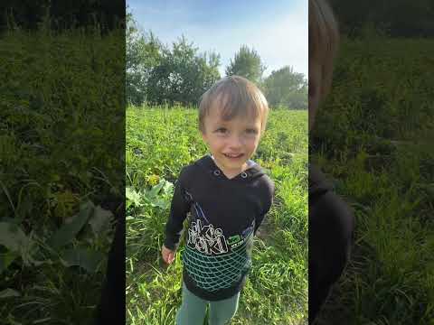 Пап, я хочу купаться!