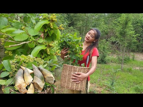 Survival in the rainforest, Bamboo shoot and Sour fruit Eating delicious