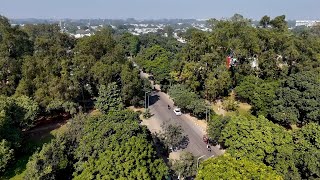 Locally Yours | From Milk Delivery to Uttam Sweets | A Chandigarh Business Story