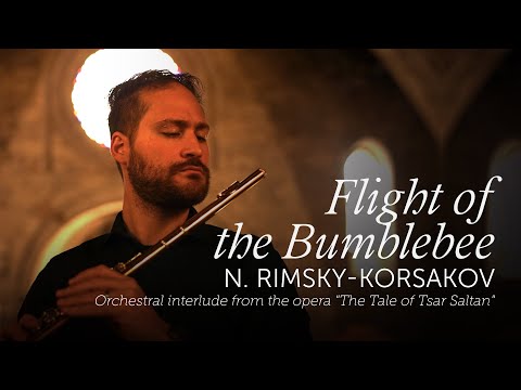 Dante de Simone - Flautista