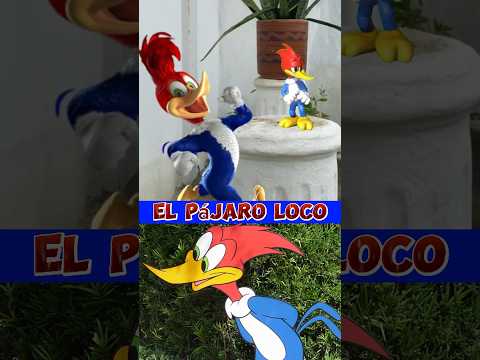 Encontré el pájaro loco #shortvideo #shorts #viral #mexico #short #viralshorts