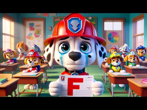 Paw Patrol Ultimate Rescue | Marshall's Low Score Makes Him Criticized by His Friends!! | Rainbow 3