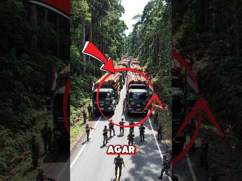 ada apa dengan indonesiaku ini#shorts