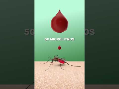 1,000,000 de mosquitos 🦟