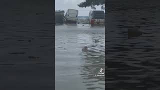 happening in mobay now