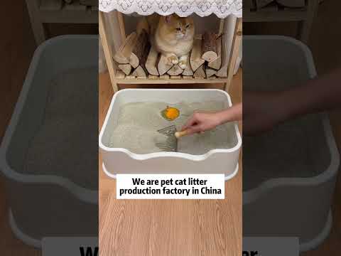 Cat litter factory in China. Cat litter china supplier. Mineral cat litter factory price #pets
