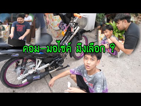 คอม-มอไซค์...ไอ้หลุยมึงเลือกเอา..เลือก? ทุกคนอยากรู้ไหม (ดูความฉลาดมันในคลิปนี้)