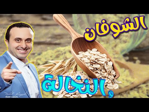 كل ما تحتاج لمعرفة الفريق بين الشوفان و النخالة  مع أخصائي التغذية نبيل العياشي