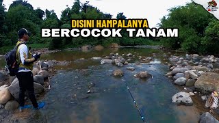 Umpan casting keramat...!!! Bukan salah umpan nya.. tapi salah ikan nya...!!!
