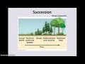 Ecological Succession and Biodiversity