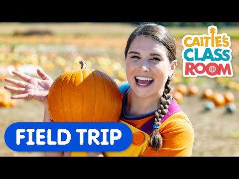 Pumpkin Patch Field Trip! | Caitie's Classroom | Learn How To Make A Jack O'Lantern - YouTube