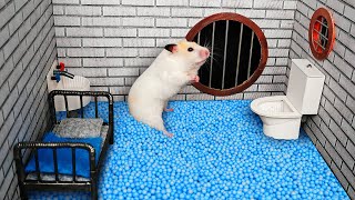 Hamster Escapes the Creative Maze for Pets in real life 🐹 in Hamster Stories Part 2