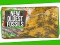 Stromatolites and Fundamental Forces