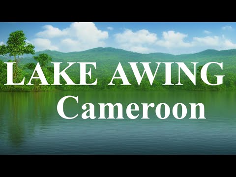 CAMEROON-  CAMEROON LAKE AWING