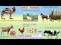Animals and Their Uses