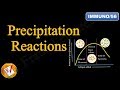 Precipitation Reactions and Antibody Interactions