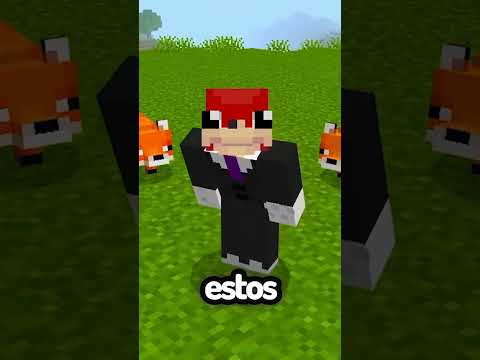 Zorro Frágil