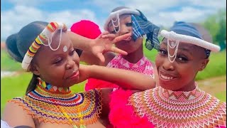 African Zulu Dance - Cultural Heritage 