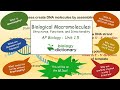 Exploring Biological Macromolecules and Their Functions