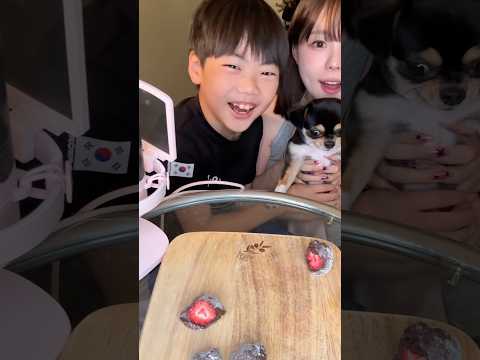 #쫀득쿠키 먹기 ❤️✨