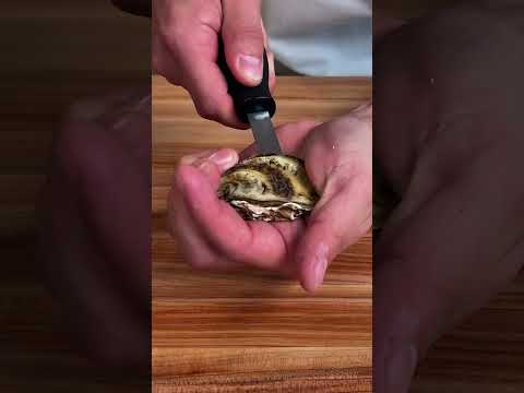 How To Shuck Oysters