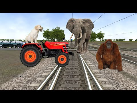 August 26, 2023 tractor & train vs dog and elephant save gog & funny vfx