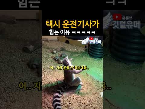 승차거부 아니라니까요 ㅠㅠㅠㅠ ㅋㅋㅋㅋㅋ