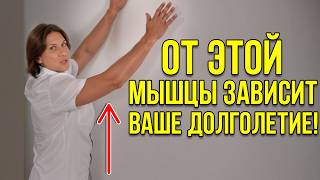 Если хочешь чувствовать себя на 20 моложе – растягивай эту мышцу! Простые упражнения для каждого!