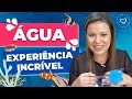 Water Importance and Related Concepts