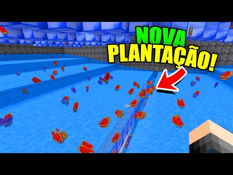 ⭐Minecraft : Novo método de ficar rico!