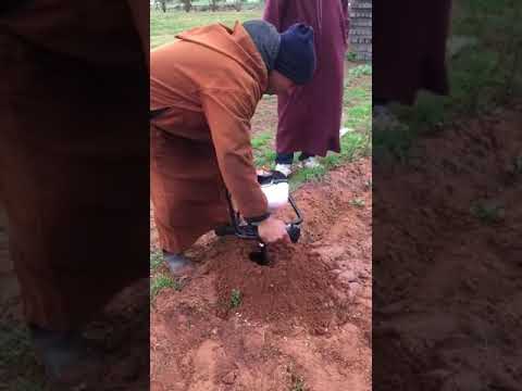 اسهل طريقة لحفر حفرة لغرس شجر صحاب زيتون هاذي هي لي خصاكم