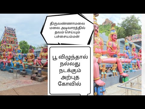 வேண்டிய வரத்தை அள்ளித் தரும் பச்சையம்மன் திருக்கோயில்🙏 திருவண்ணாமலை மலையடிவாரம்🔥🔥Pachaiamman Temple