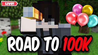 Playing On My Public Lifesteal SMP Join Now !! ( Road To 100k )