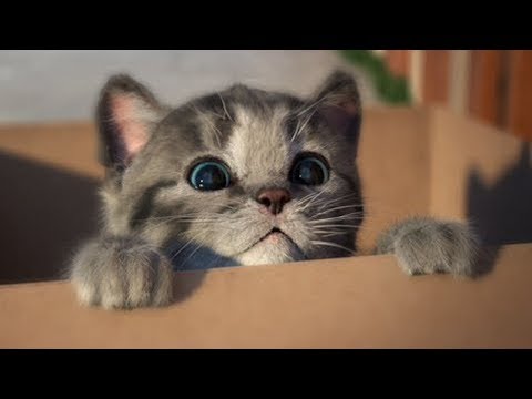 Lindo Gatito | Dibujos Animados Infantiles (Capítulo 11)