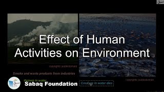 Effect of Human Activities on Environment