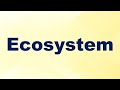 Ecosystem Concepts and Components
